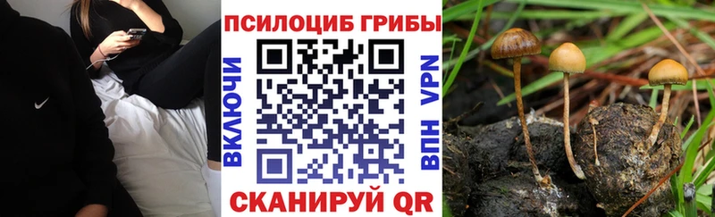 магазин продажи   Асино  Галлюциногенные грибы мухоморы 