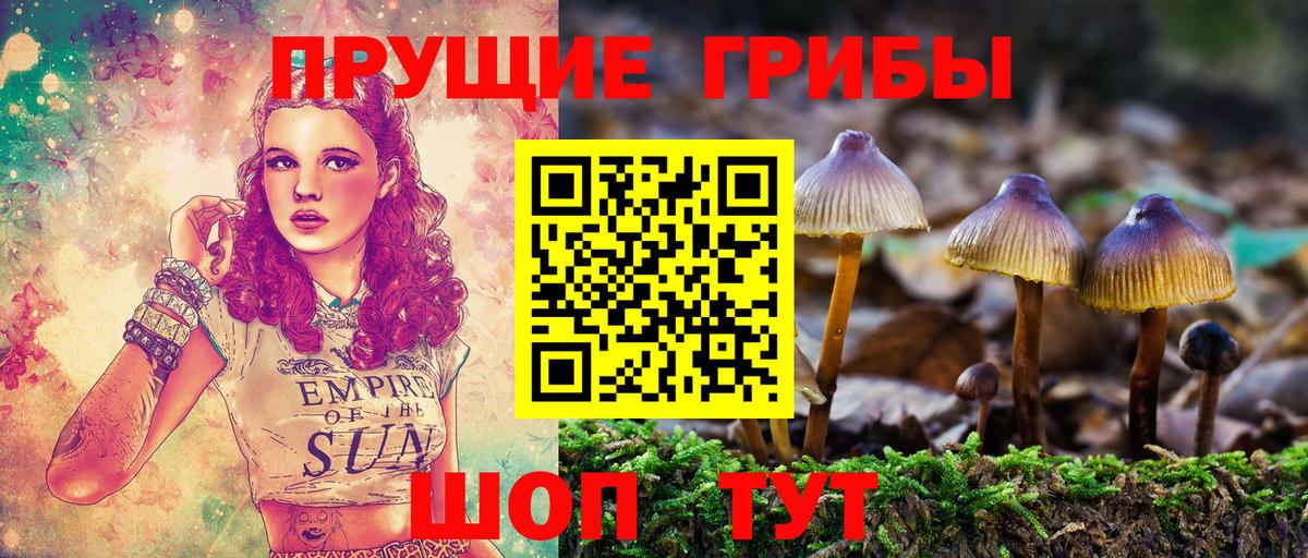 Галлюциногенные грибы прущие грибы  Вход с VPN  Асино 